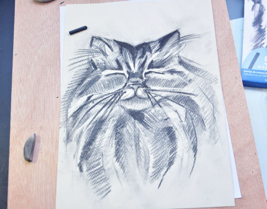 Мастер-класс. Создаем портрет кота с помощью угля